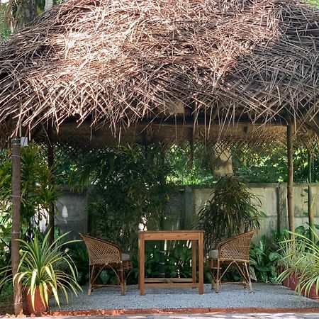 Tattwamasi Ayuryoga With Breakfast And Yoga Hotell Varkala Eksteriør bilde
