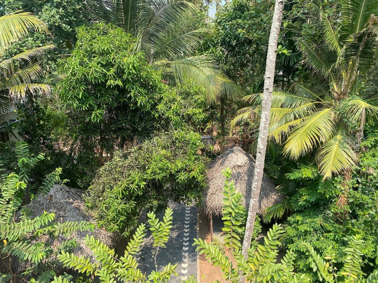 Tattwamasi Ayuryoga With Breakfast And Yoga Hotell Varkala Eksteriør bilde