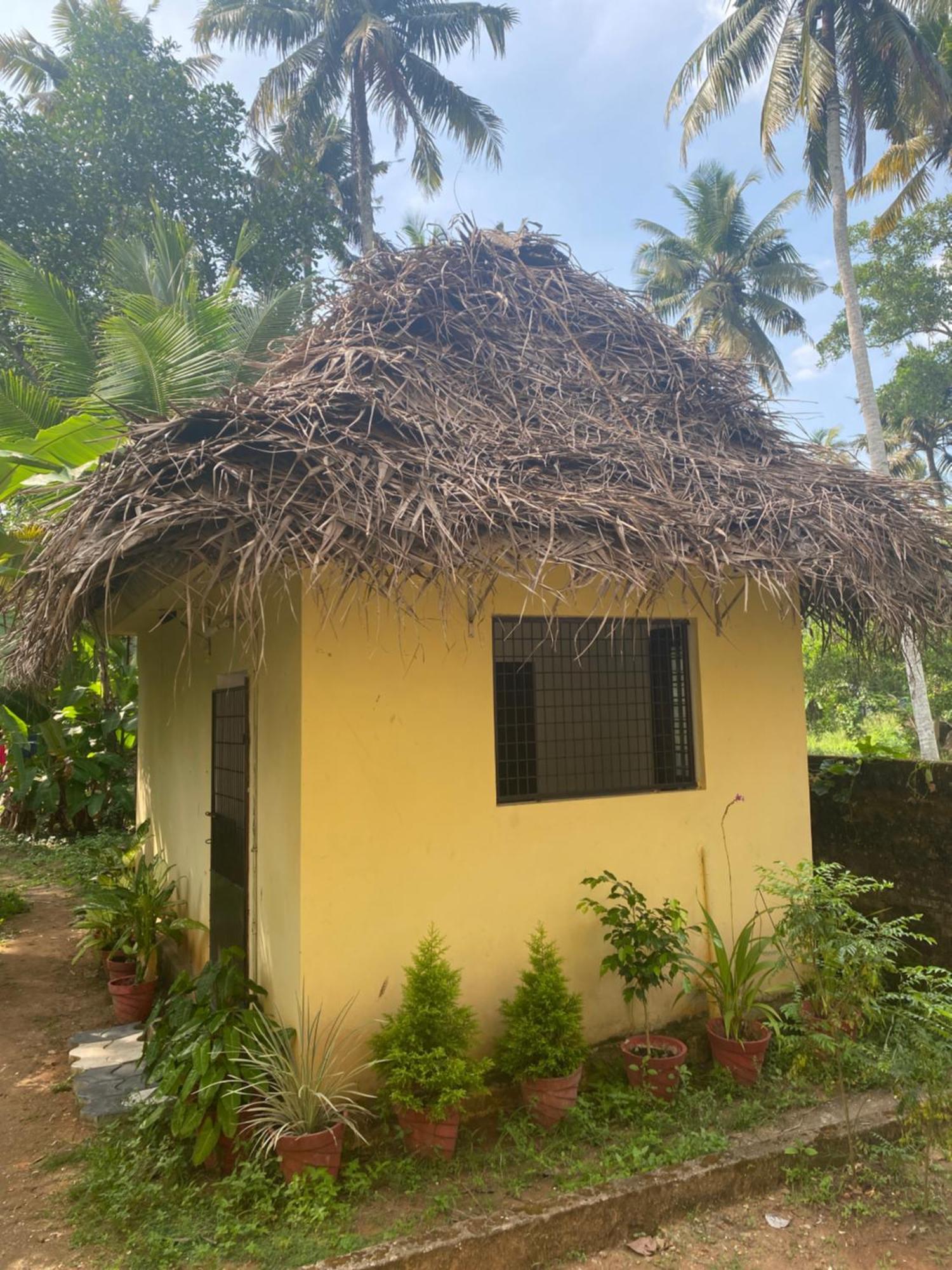 Tattwamasi Ayuryoga With Breakfast And Yoga Hotell Varkala Eksteriør bilde